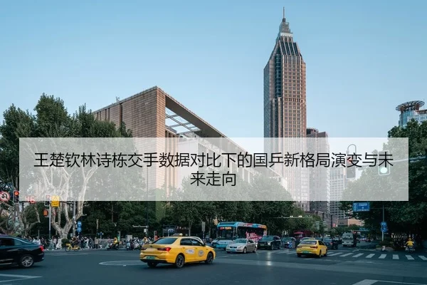 王楚钦林诗栋交手数据对比下的国乒新格局演变与未来走向
